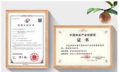 大三湘有機鲜榨山茶油細支裝 Great Sanxiang Organic Fresh Camellia Oil Supplement Vials (10ml x 7)