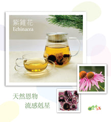 有機紫錐花 Organic Echinacea Flowers (30g)