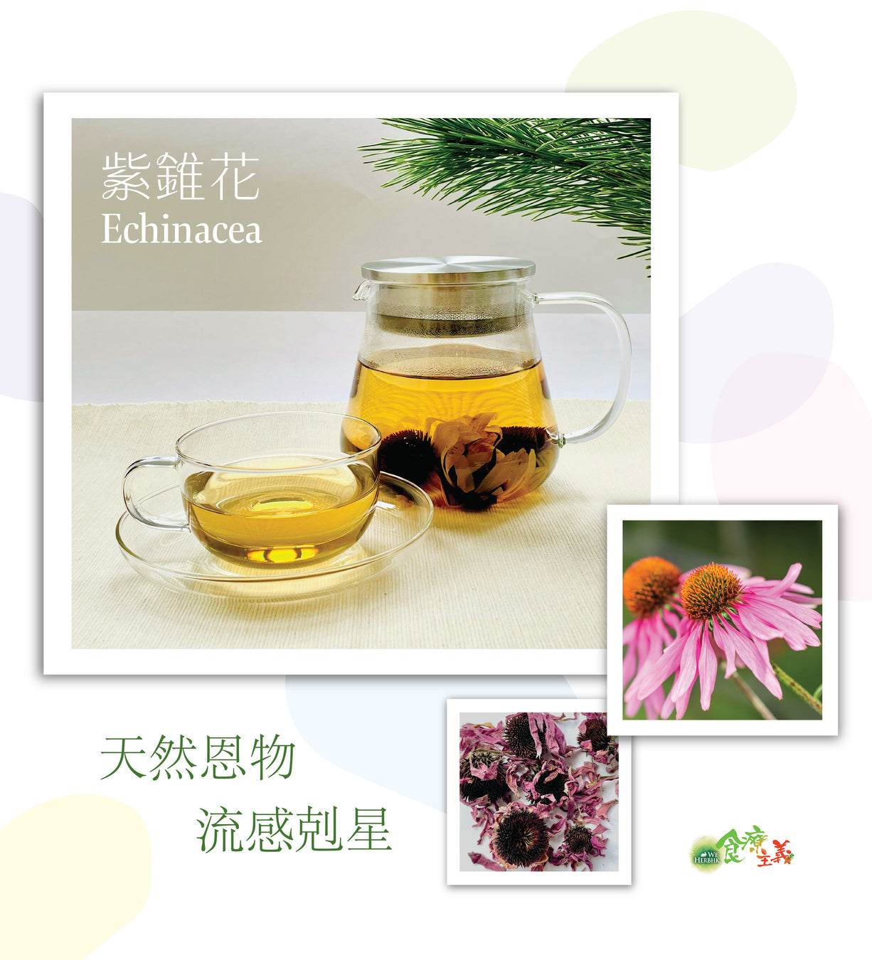 有機紫錐花 Organic Echinacea Flowers (30g)