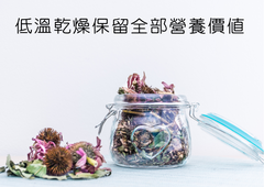 有機紫錐花 Organic Echinacea Flowers (30g)