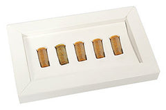 補給擴散器的有機蜂膠膠囊 Propolis Refill Capsules (organic) for Diffusers (一盒五粒)