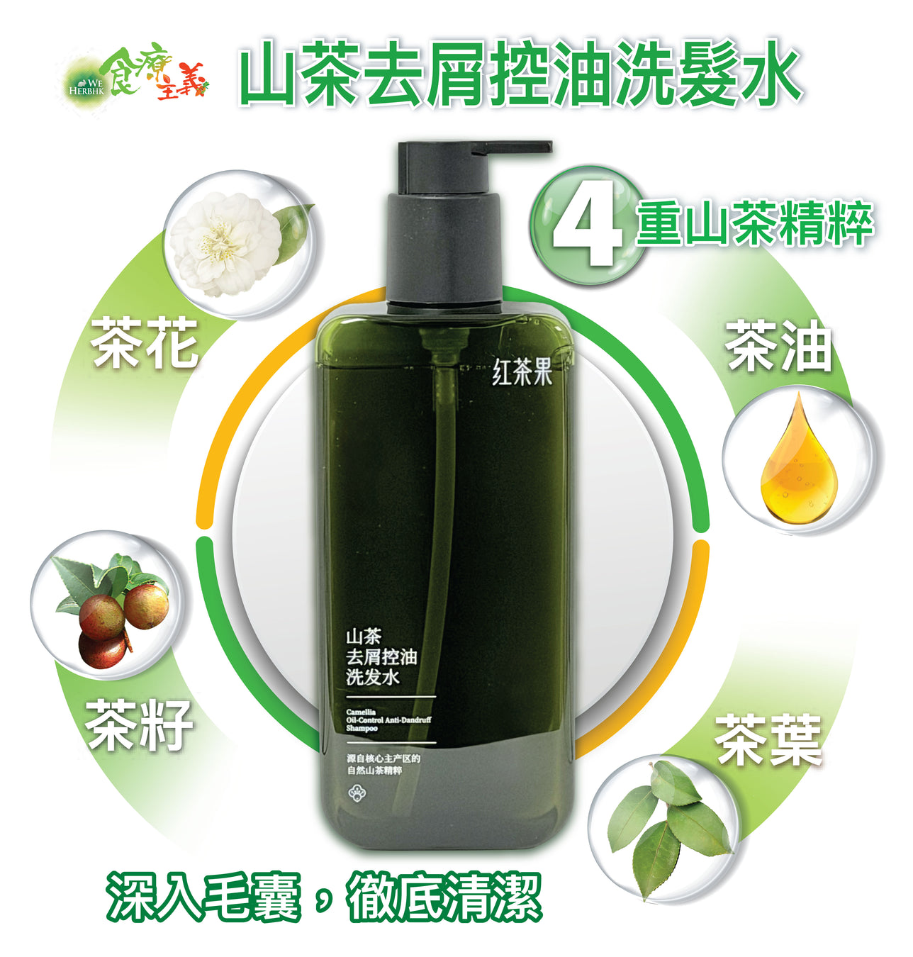 【新包裝】紅茶果山茶去屑控油洗髮水 Great Sanxiang Camellia Anti-Dandruff Shampoo (460g)