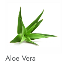 瑞典瑪利亞蘆薈舒緩啫喱 Aloe Vera Barbadensis Gel (100ml)