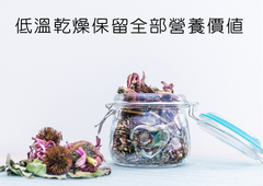 20% off 推廣優惠 - 有機紫錐花 Organic Echinacea Flowers (40g)