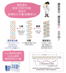 10% off 美顏膠原蛋白肽 3盒 (每盒30x3克) Nippi Collagen 100 for Skin Health 3 boxes (3gx30 each)