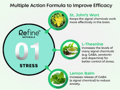 RN01 壓力 Refine Naturals STRESS (60 capsules)