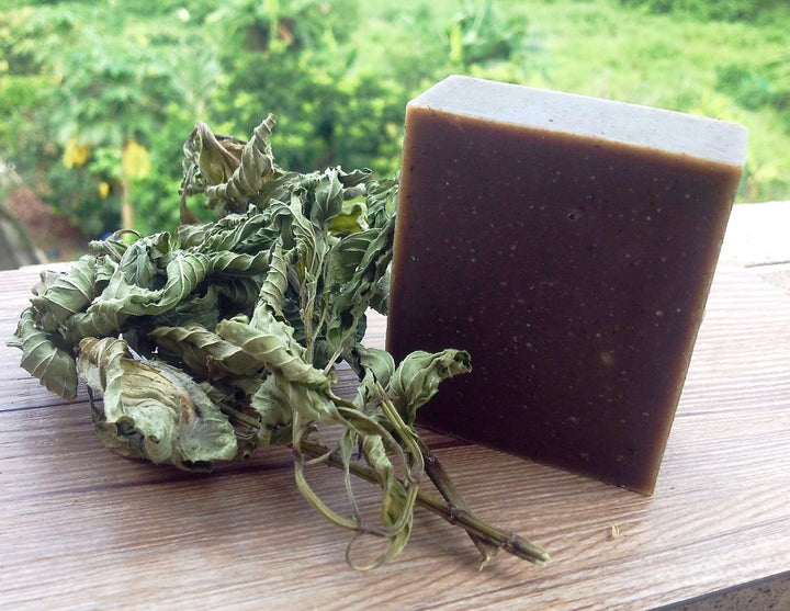 樹懶天然手工皂 － 艾草皂 Tree Sloth All-natural Handmade Soap (Wormwood)